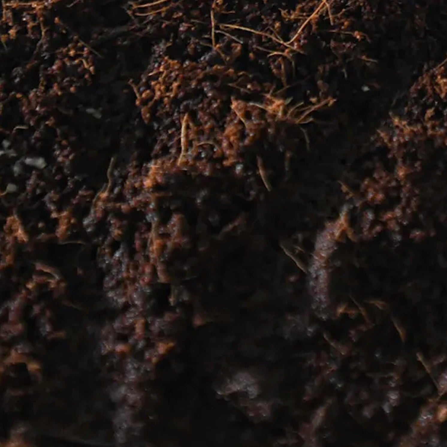 Manure Substrate
